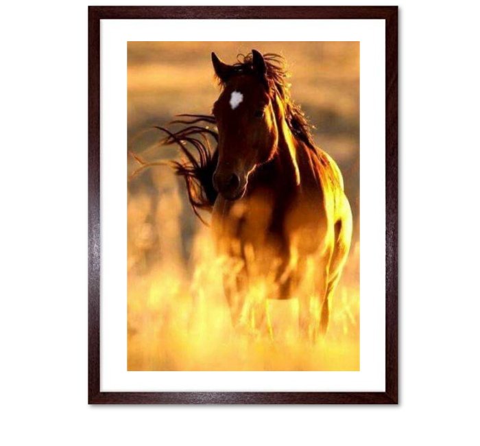 Horse Framed Wall Art Print